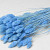 Bouquet Phalaris Bleu Pastel 70cm