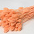 Phalaris Pastel Perzik 70cm
