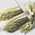 DIY Droogbloemen Boeket Natural/Wit XL