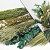 DIY Droogbloemen Boeket Groen/Naturel XL