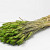 Bouquet Triticum Vert (blé) 70cm