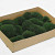 Polstermoos Dunkelgrün (Tray 29x39cm)