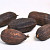 Getrocknete Kakao Frucht Braun 12-18cm